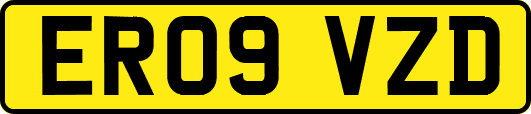 ER09VZD