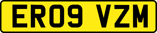 ER09VZM