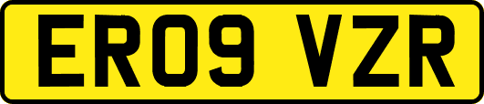 ER09VZR
