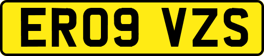 ER09VZS