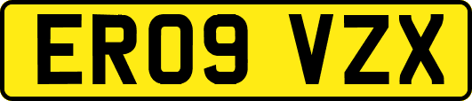 ER09VZX
