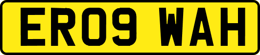 ER09WAH