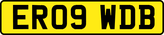 ER09WDB