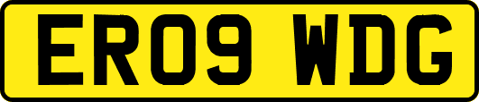 ER09WDG