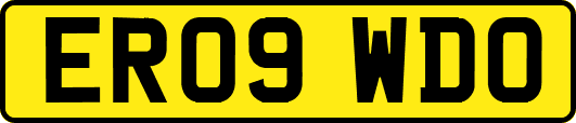 ER09WDO