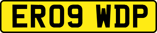 ER09WDP