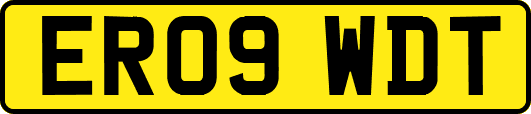 ER09WDT