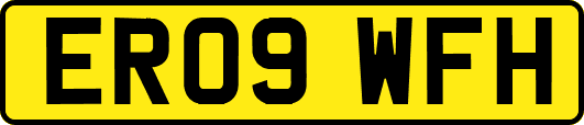 ER09WFH