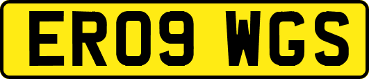 ER09WGS