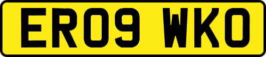 ER09WKO