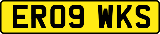 ER09WKS