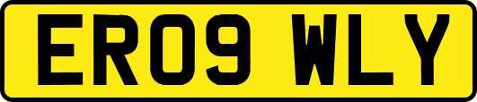ER09WLY