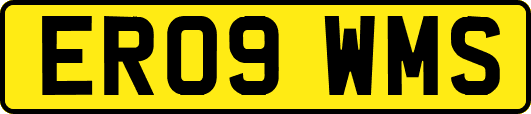 ER09WMS