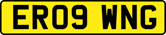 ER09WNG