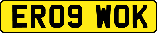 ER09WOK
