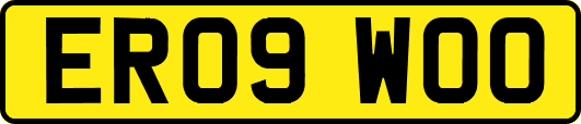 ER09WOO