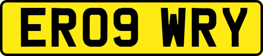ER09WRY