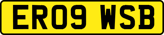 ER09WSB