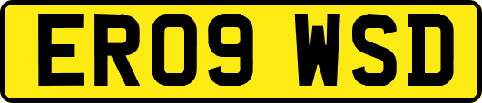 ER09WSD