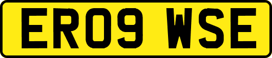ER09WSE