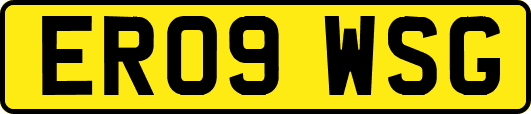 ER09WSG