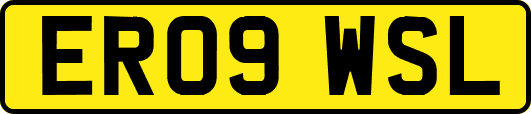 ER09WSL