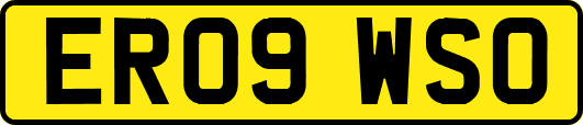 ER09WSO