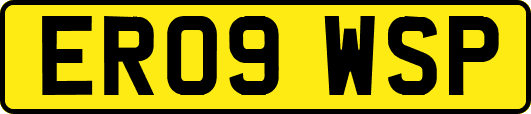 ER09WSP