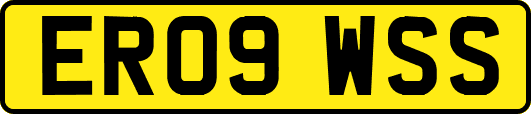 ER09WSS