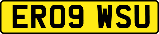 ER09WSU