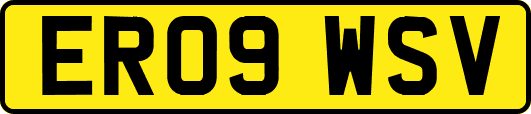 ER09WSV