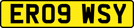 ER09WSY