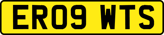 ER09WTS