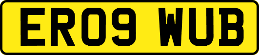 ER09WUB