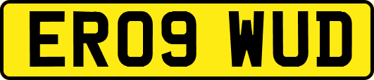 ER09WUD