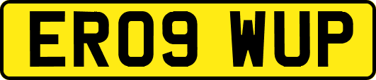 ER09WUP
