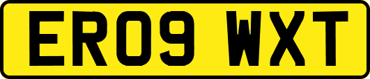 ER09WXT