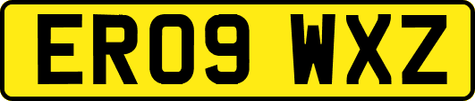 ER09WXZ