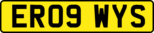 ER09WYS
