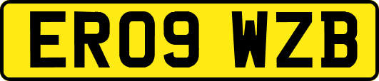 ER09WZB
