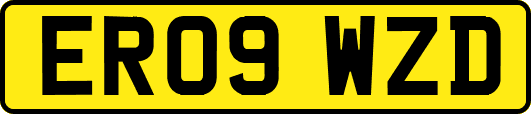 ER09WZD