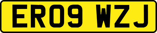 ER09WZJ