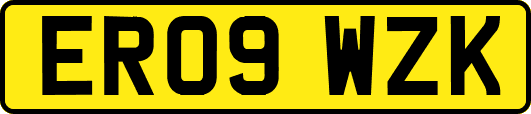 ER09WZK