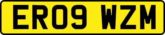 ER09WZM
