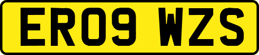 ER09WZS