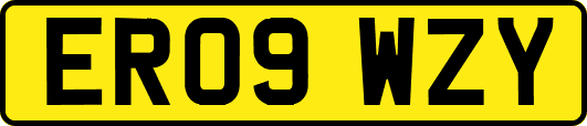 ER09WZY