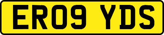 ER09YDS