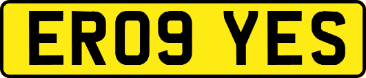 ER09YES