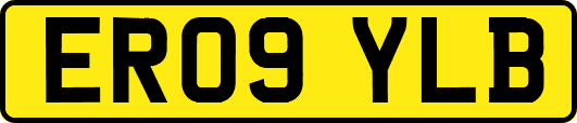 ER09YLB
