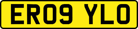 ER09YLO